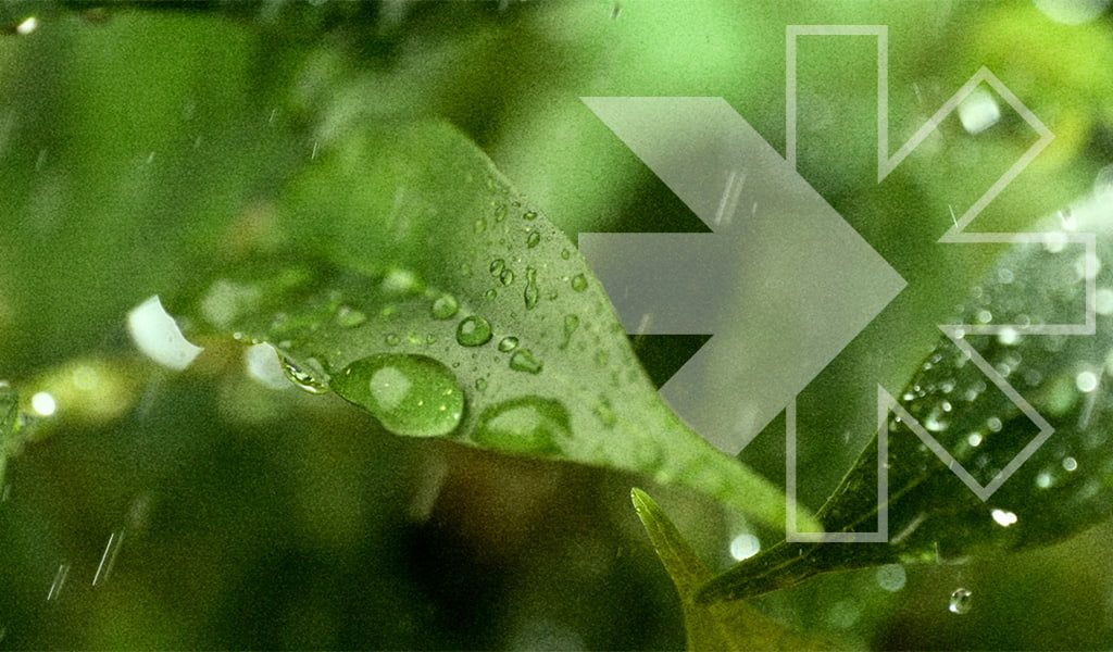 Cabecera-Water-use-efficiency-RN